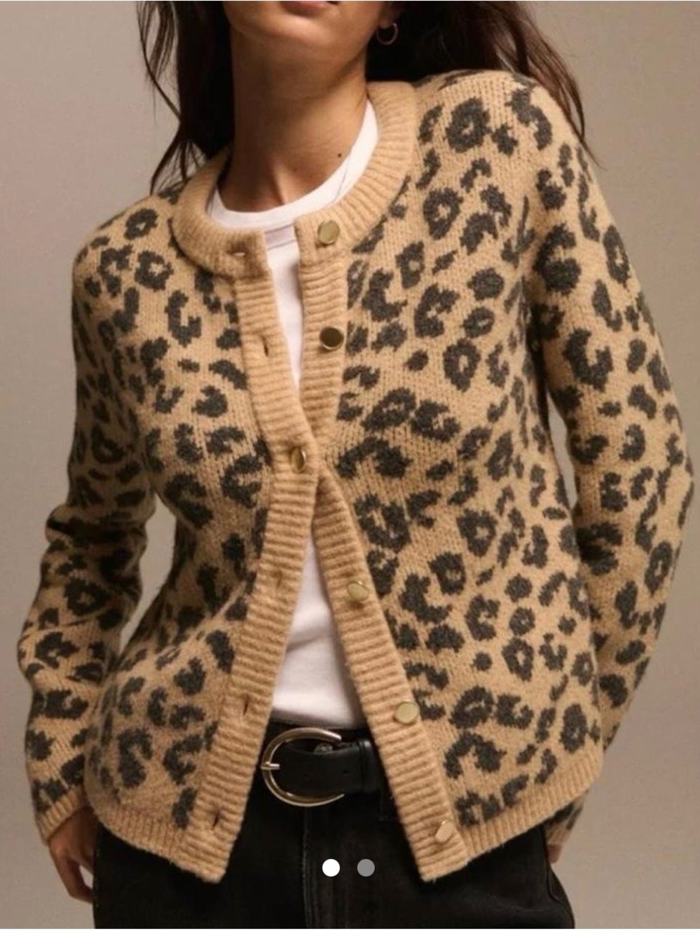Abercrombie & Fitch Beige Leopard Print Crewneck Cardigan